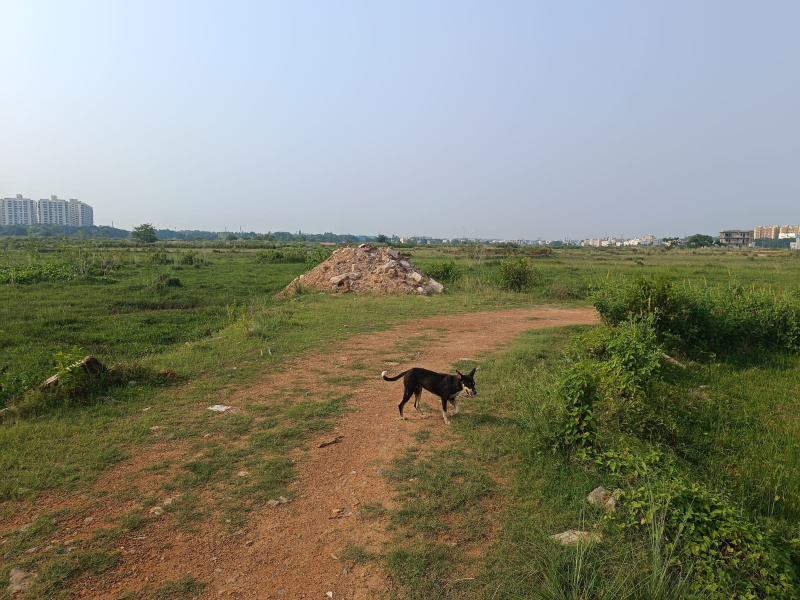 Additional image 3 of Patrapada, Bhubaneswar