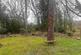 Additional image 24 of Pinelog Accessible Lodge, Church Street, Trimingham