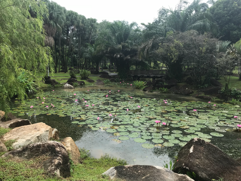 188 Bishan Street 13