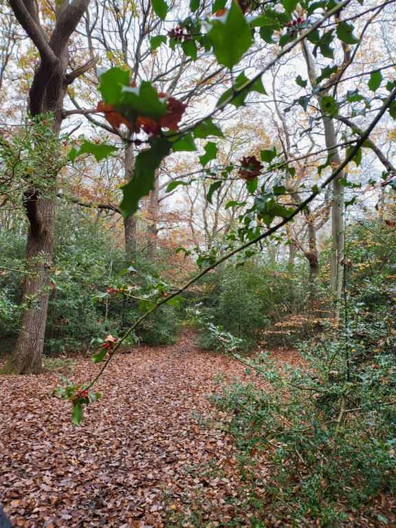 Land for salePowder Mill Lane, Tunbridge Wells TN4