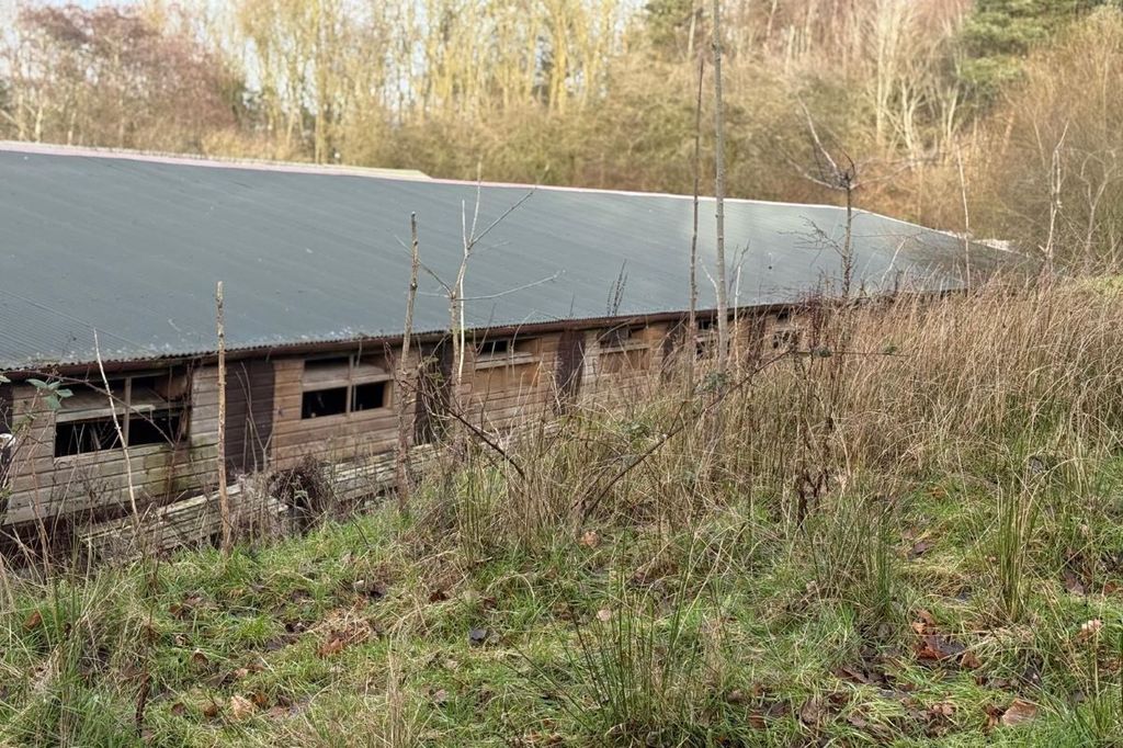 Additional image 7 of Land for saleMillhayes Farm, Hemyock, Cullompton EX15