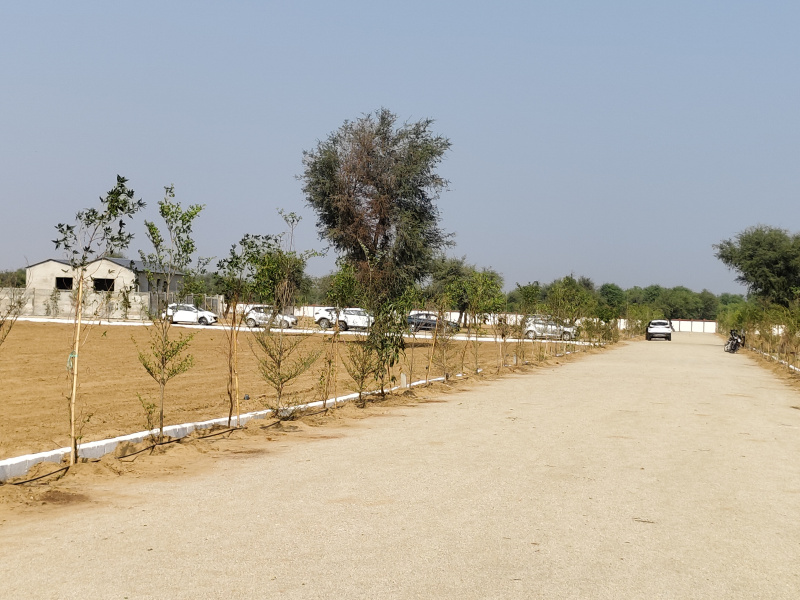 Bagru, Jaipur photo 3