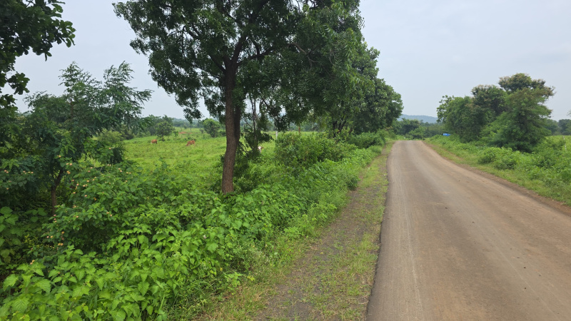 Narkhed, Nagpur