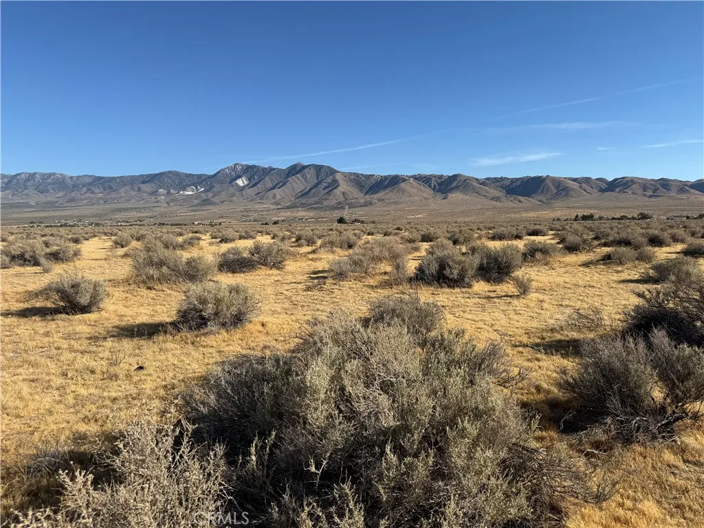 Lucerne Valley, Lucerne Valley, CA 92356 photo 2