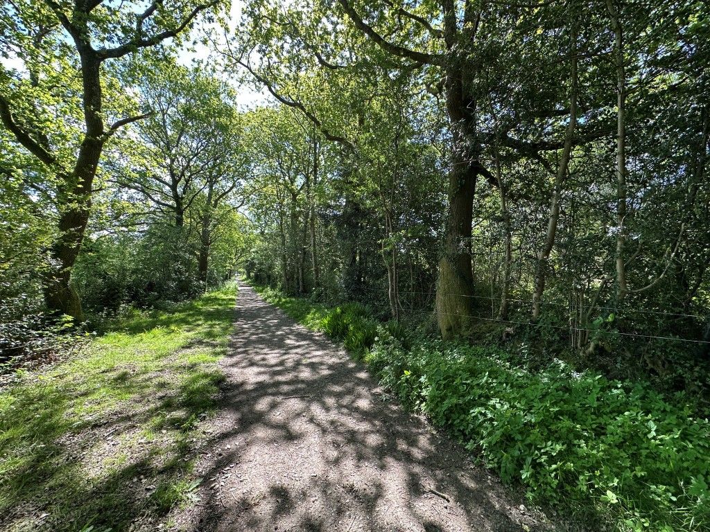 Land for saleSchool Lane, Hadlow Down, Uckfield TN22
