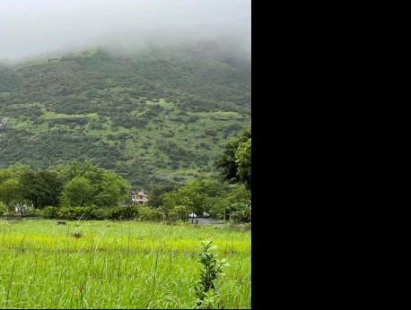 Varsoli, Lonavala, Pune photo 3