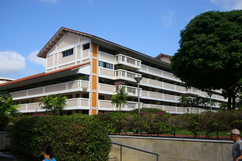 254 Serangoon Central Drive photo 4