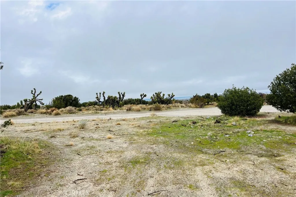 155 Del Rosa Rd, Pinon Hills, CA 92372