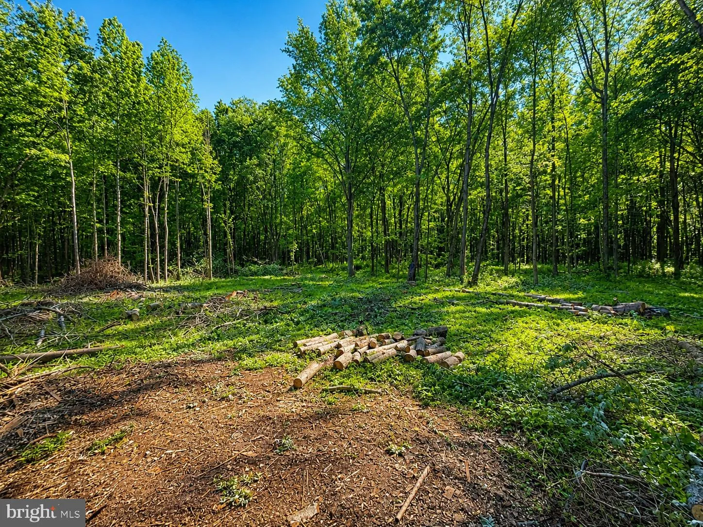 Additional image 7 of Sandy Bottom Road, Chestertown, MD 21620