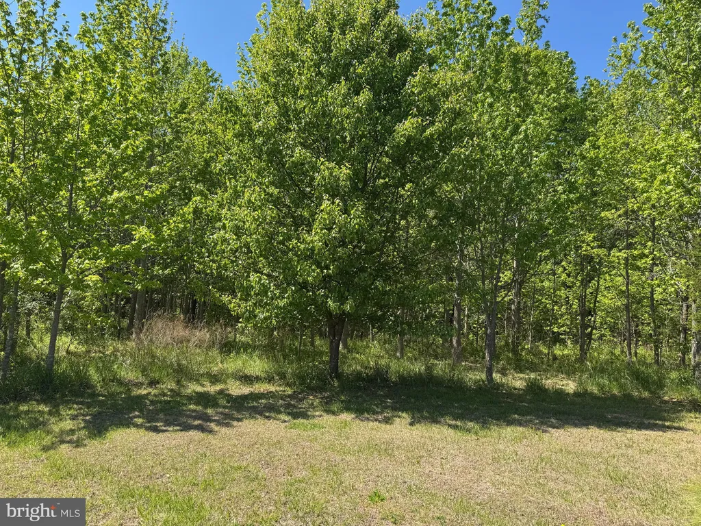 Additional image 3 of 1913 Swan Way Lane, King George, VA 22485