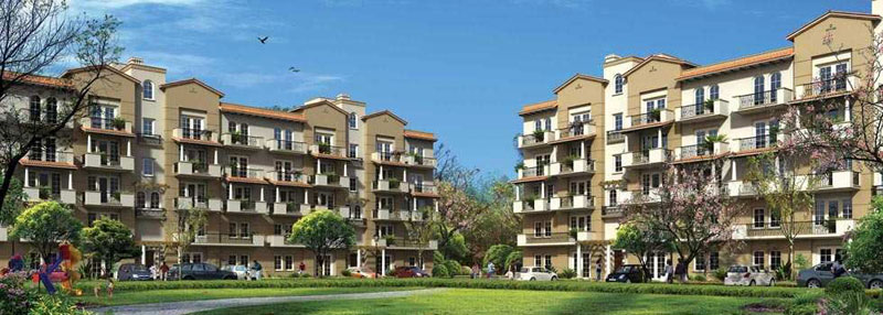 Sector 65, Gurgaon