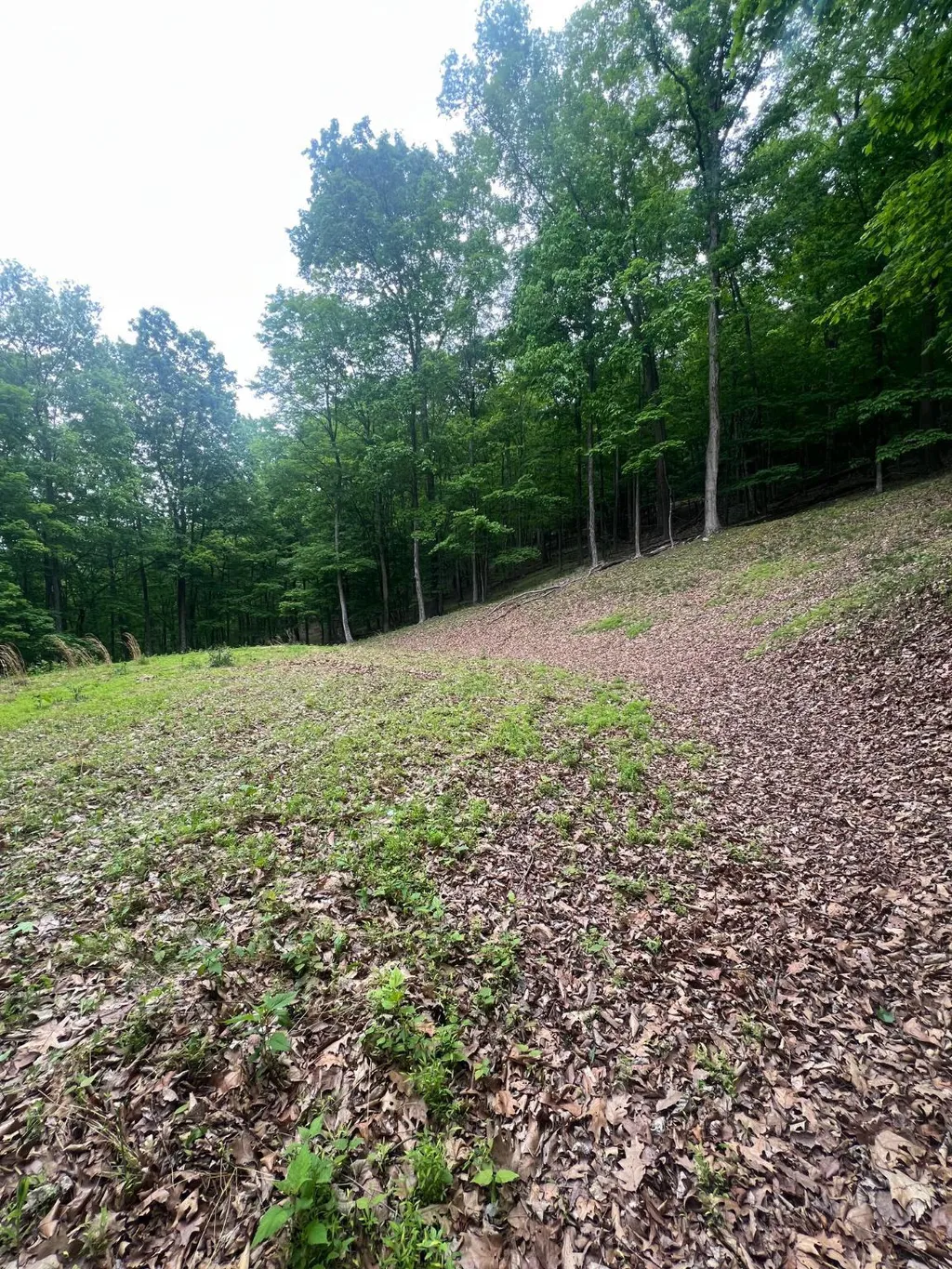 Edgar Lane, Upper Tract, WV 26866 photo 2