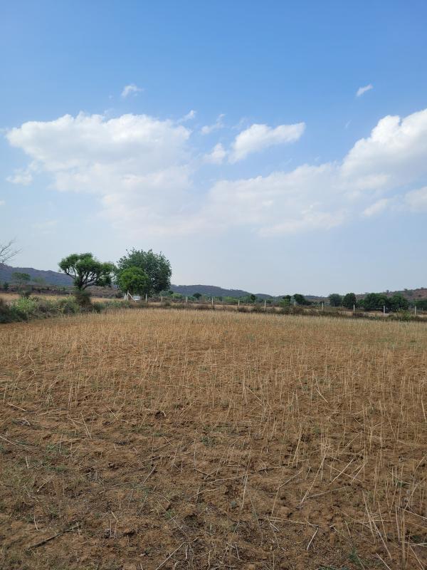 Pinan, Alwar