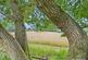 Plot 49, Stones Wharf, Weston Rhyn, Oswestry photo 3