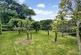 Additional image 26 of Camelford PL32
