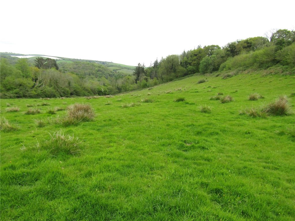 Land for saleLot 2: 7.60 Acres, Wigford Meadows, Loddiswell, Kingsbidge, Devon TQ7