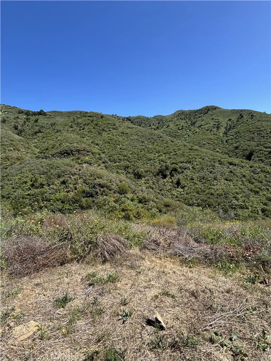 12110 Yellow Hill Rd, Malibu, CA 90265