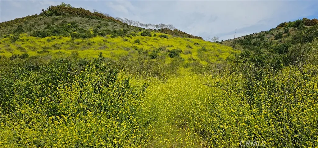 46700 El Prado Road, Temecula, CA 92590 photo 3