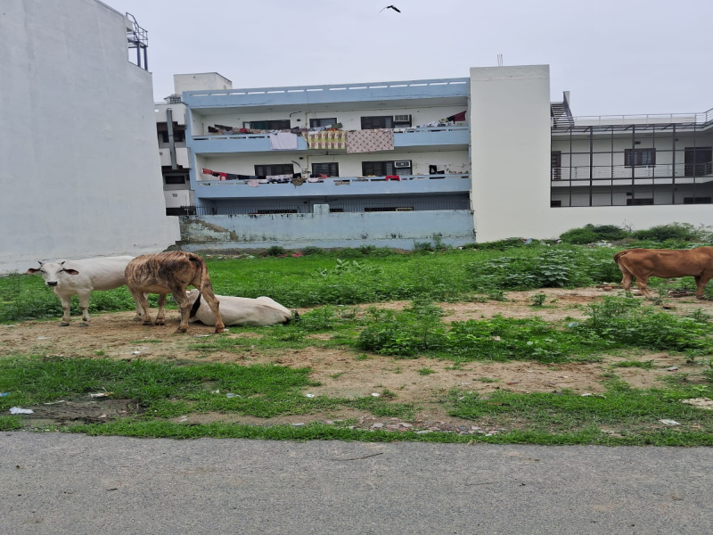 Sector 15, Faridabad photo 3
