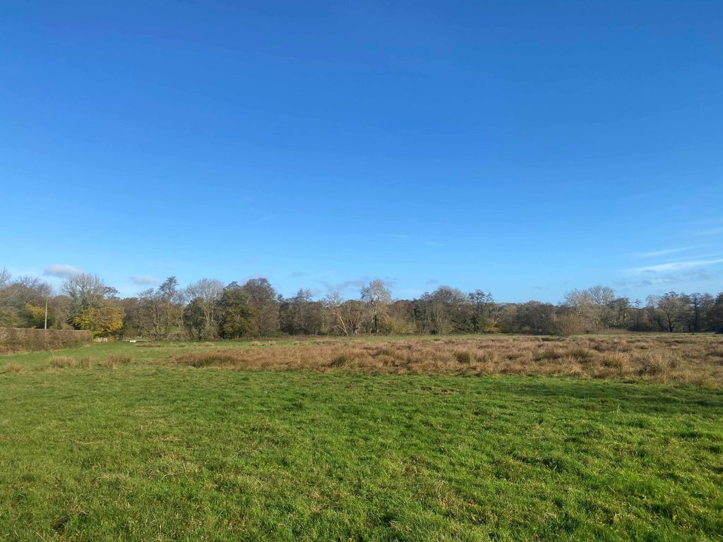 Land for saleNewick Lane, Mayfield TN20