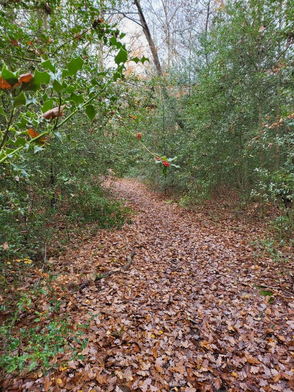 Additional image 2 of Land for salePowder Mill Lane, Tunbridge Wells TN4