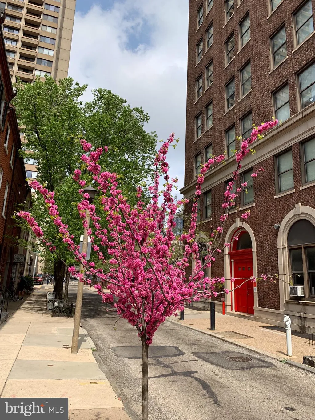 330 S Juniper Street Unit 2D, Philadelphia, PA 19107