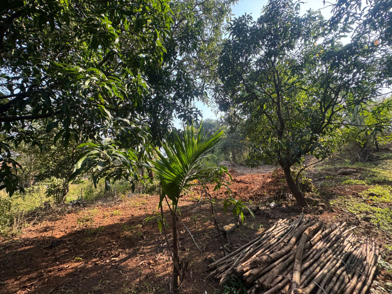 Murbad, Thane photo 2