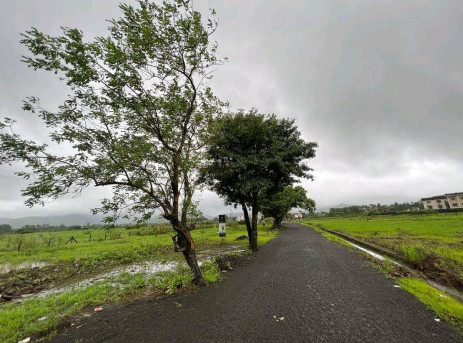 Varsoli, Lonavala, Pune photo 2