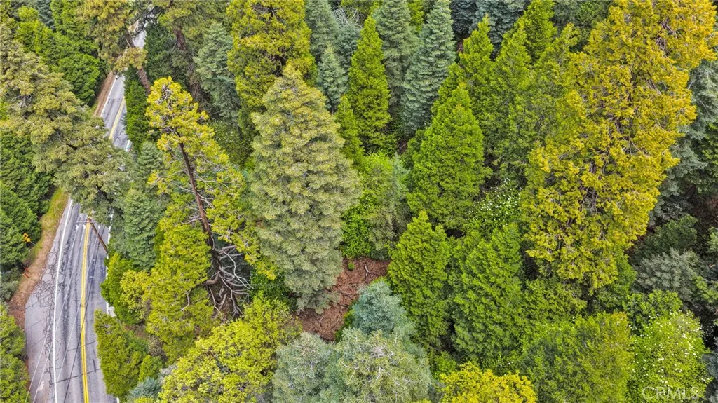 1 Skyforest, Lake Arrowhead, CA 92385 photo 4