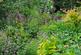 Additional image 21 of Tremail, Camelford
