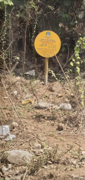 Ghodbunder Road, Thane photo 3