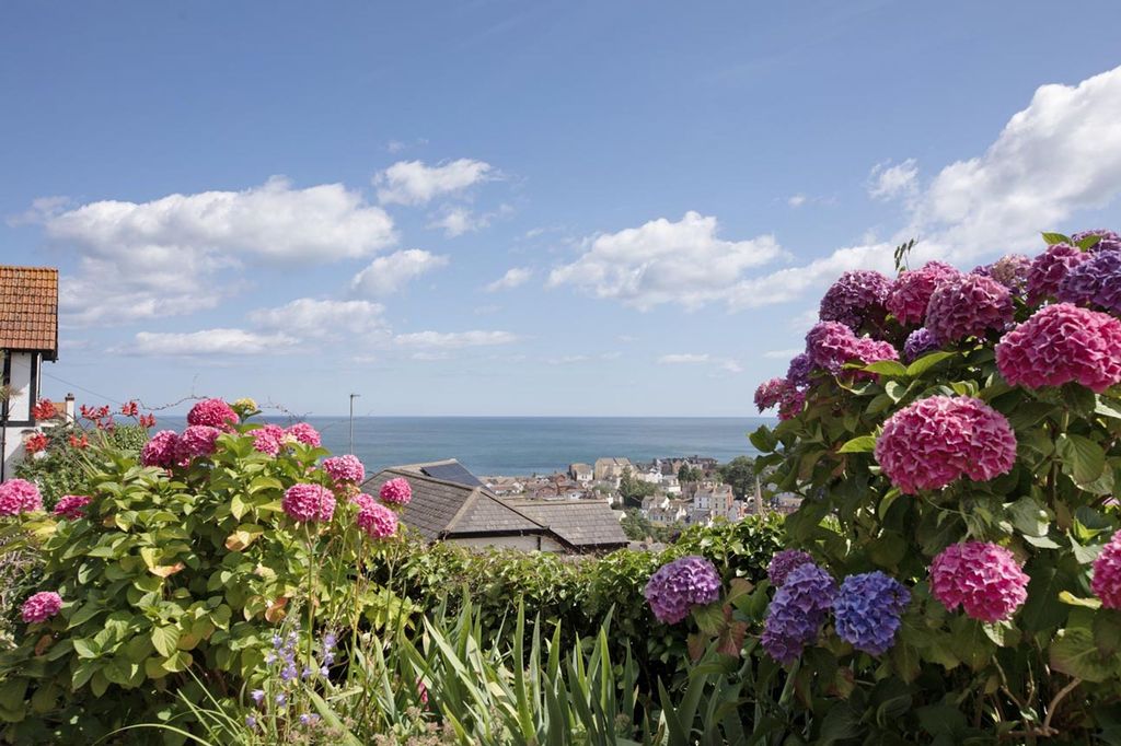 Additional image 26 of 3 bed detached house for saleStockton Hill, Dawlish EX7