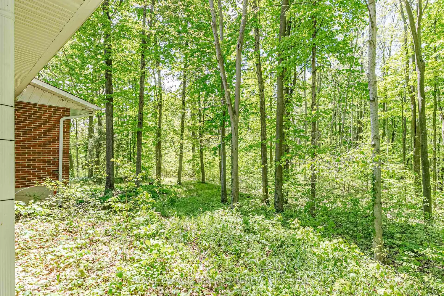 1591 Elgin Road photo 4