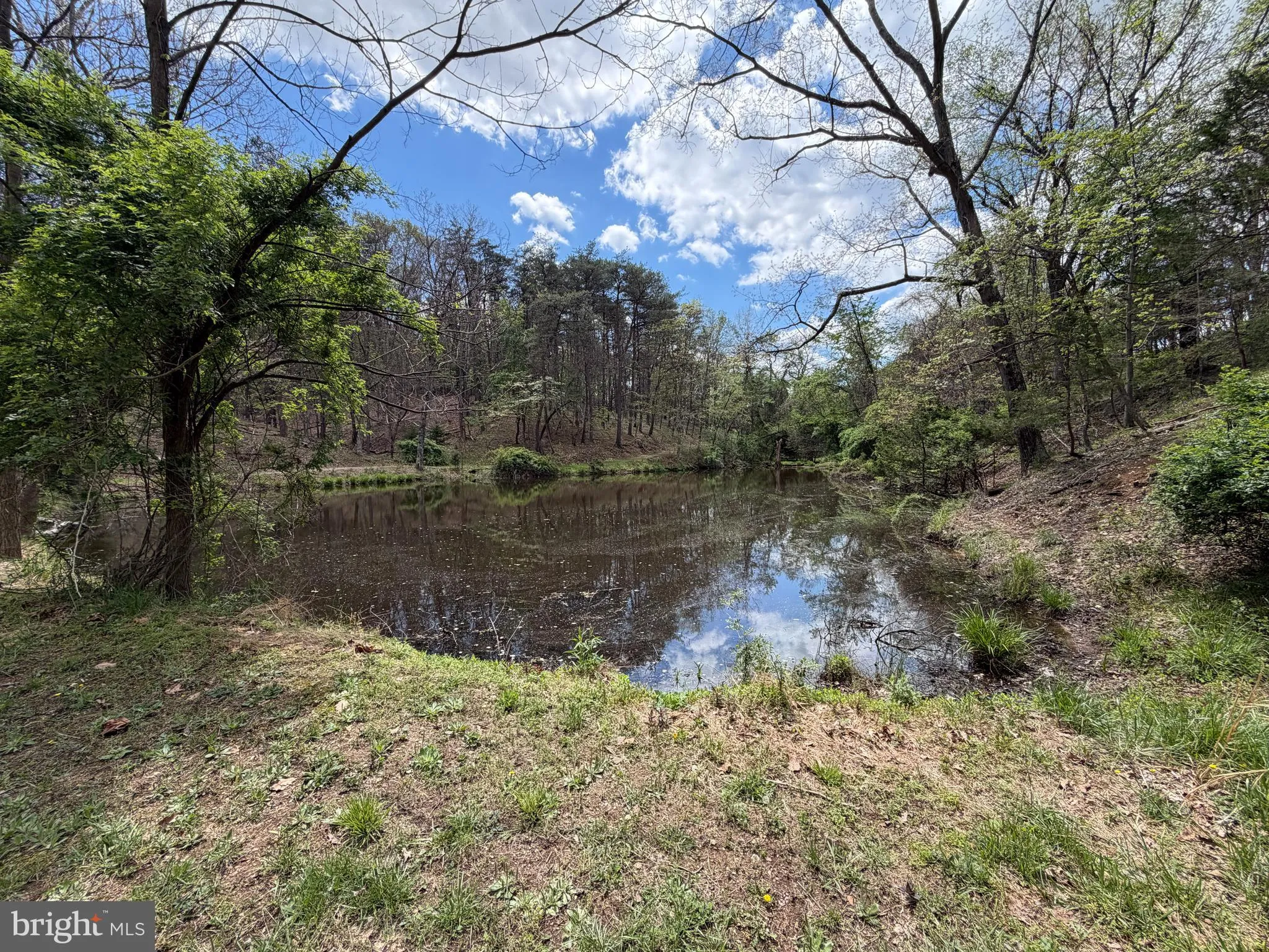 Additional image 238 of 453 Wheaton Drive, Purgitsville, WV 26852