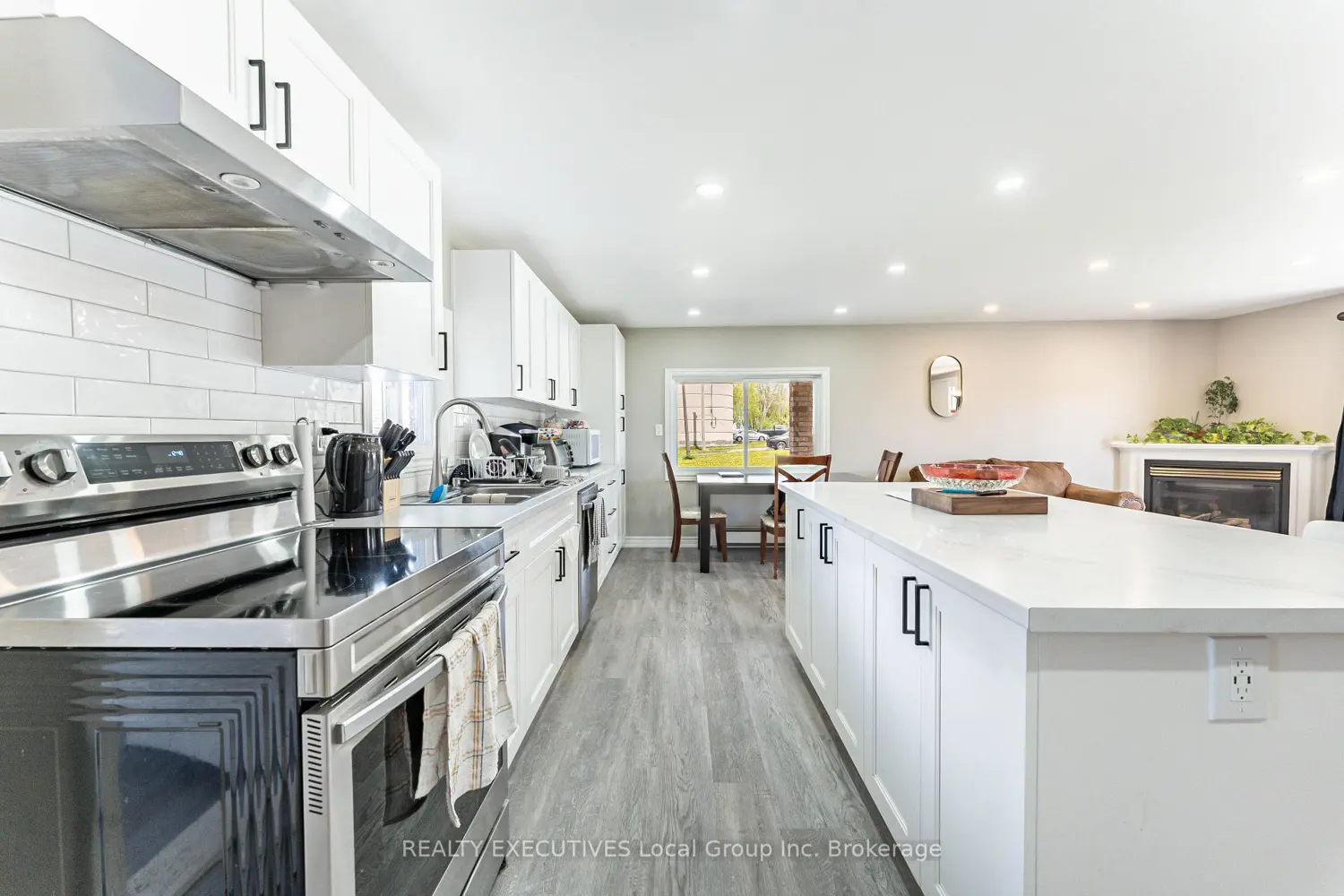 29 Dubeau Street photo 4