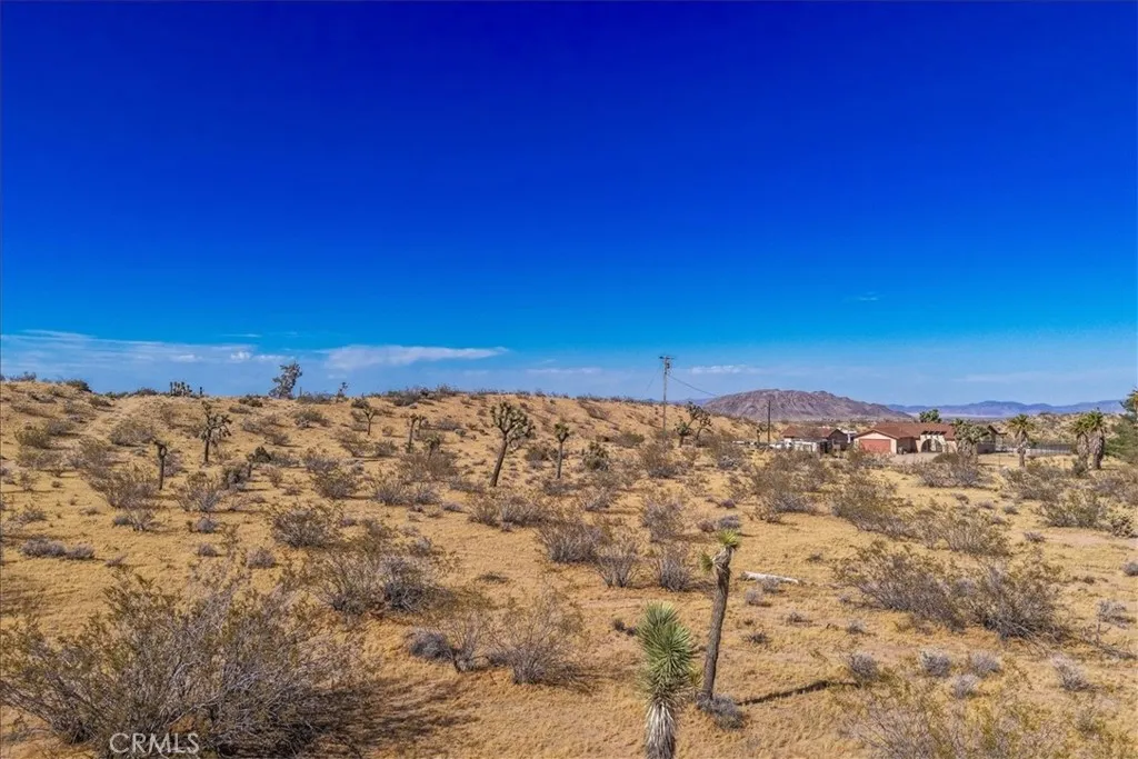 56666 Lowe Avenue, Yucca Valley, CA 92284 photo 5