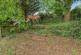 Additional image 11 of Daffodil Court, Cwmbran NP44