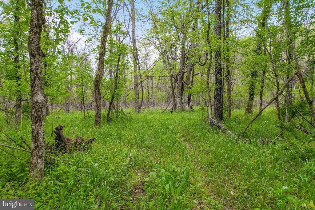 Additional image 7 of Bear Hill Road SE, Oldtown, MD 21555