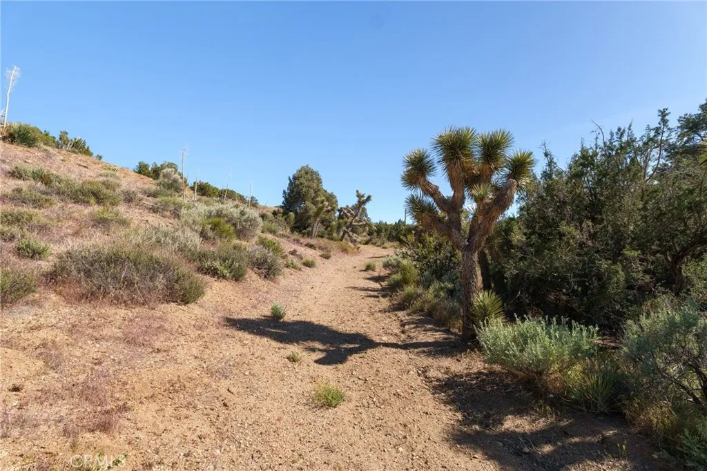 Silver Rock, Pinon Hills, CA 92372 photo 5