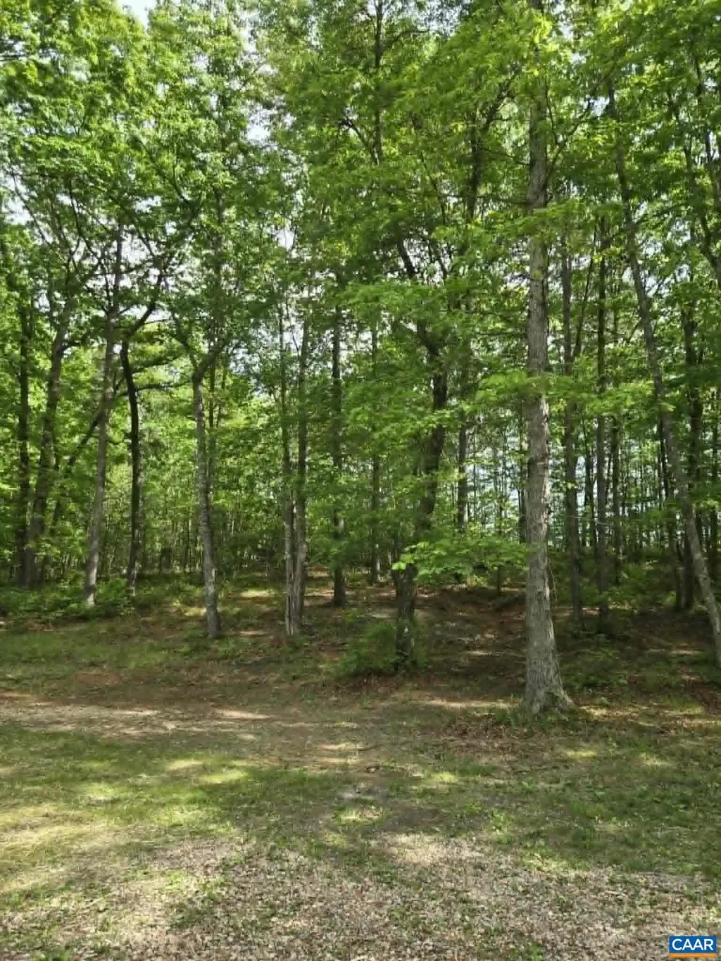 2335 Davis Hwy, Mineral, VA 23117
