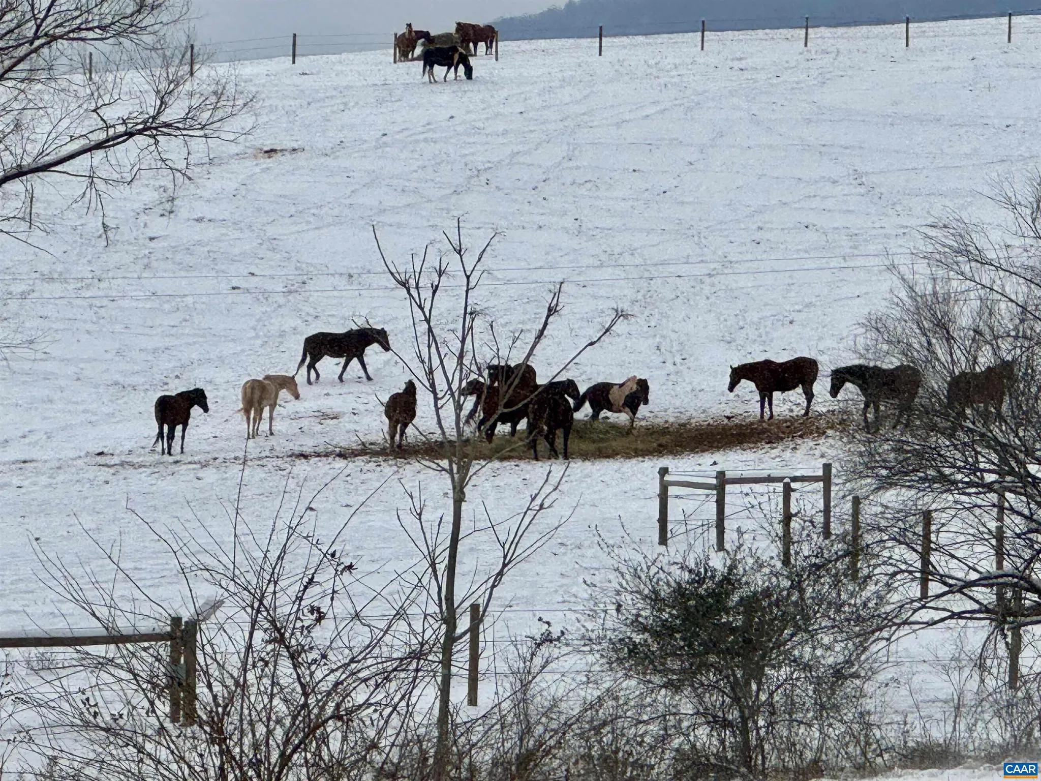 Additional image 147 of 1285 Lanetown Rd, Crozet, VA 22932