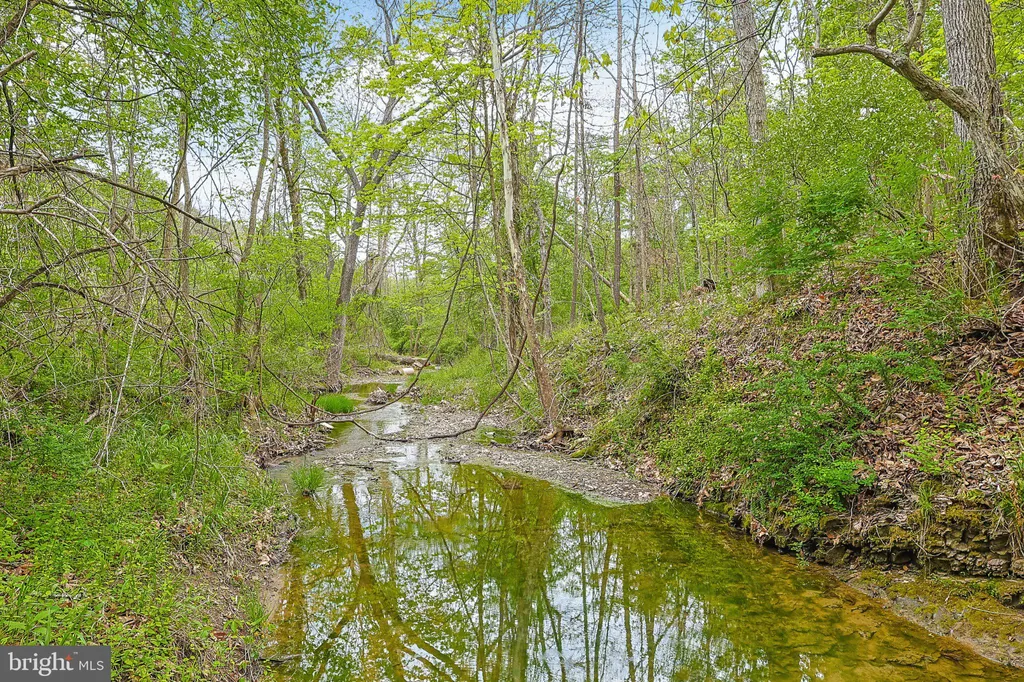 Additional image 3 of Bear Hill Road SE, Oldtown, MD 21555