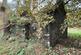 Additional image 28 of Cellan, Lampeter, SA48