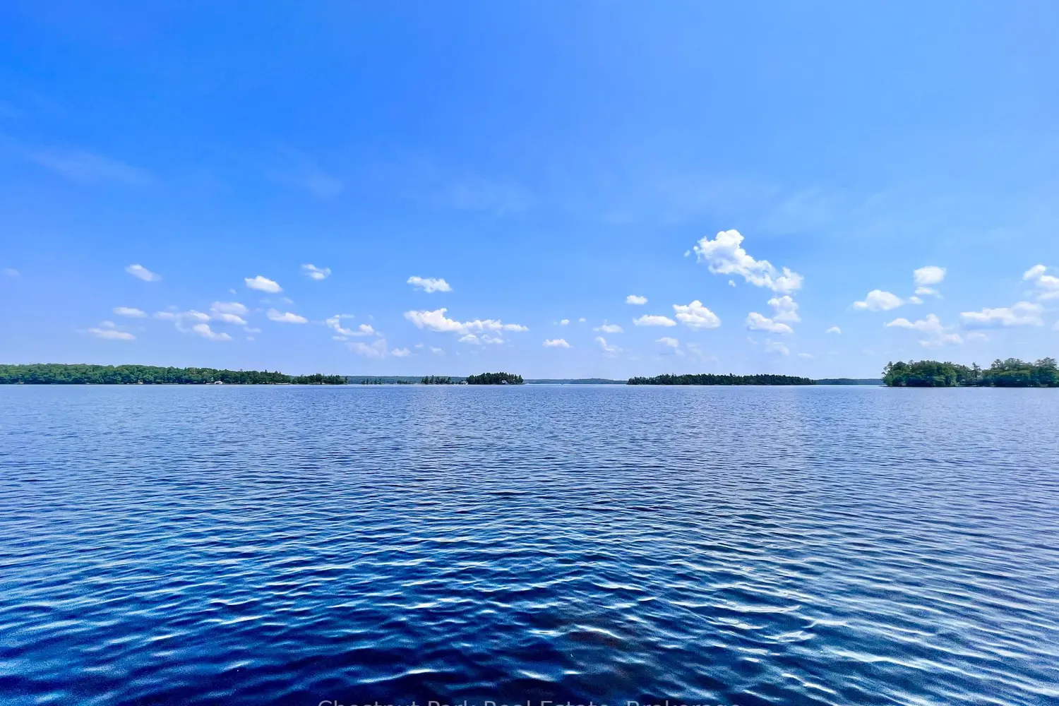 1 Cedar Island