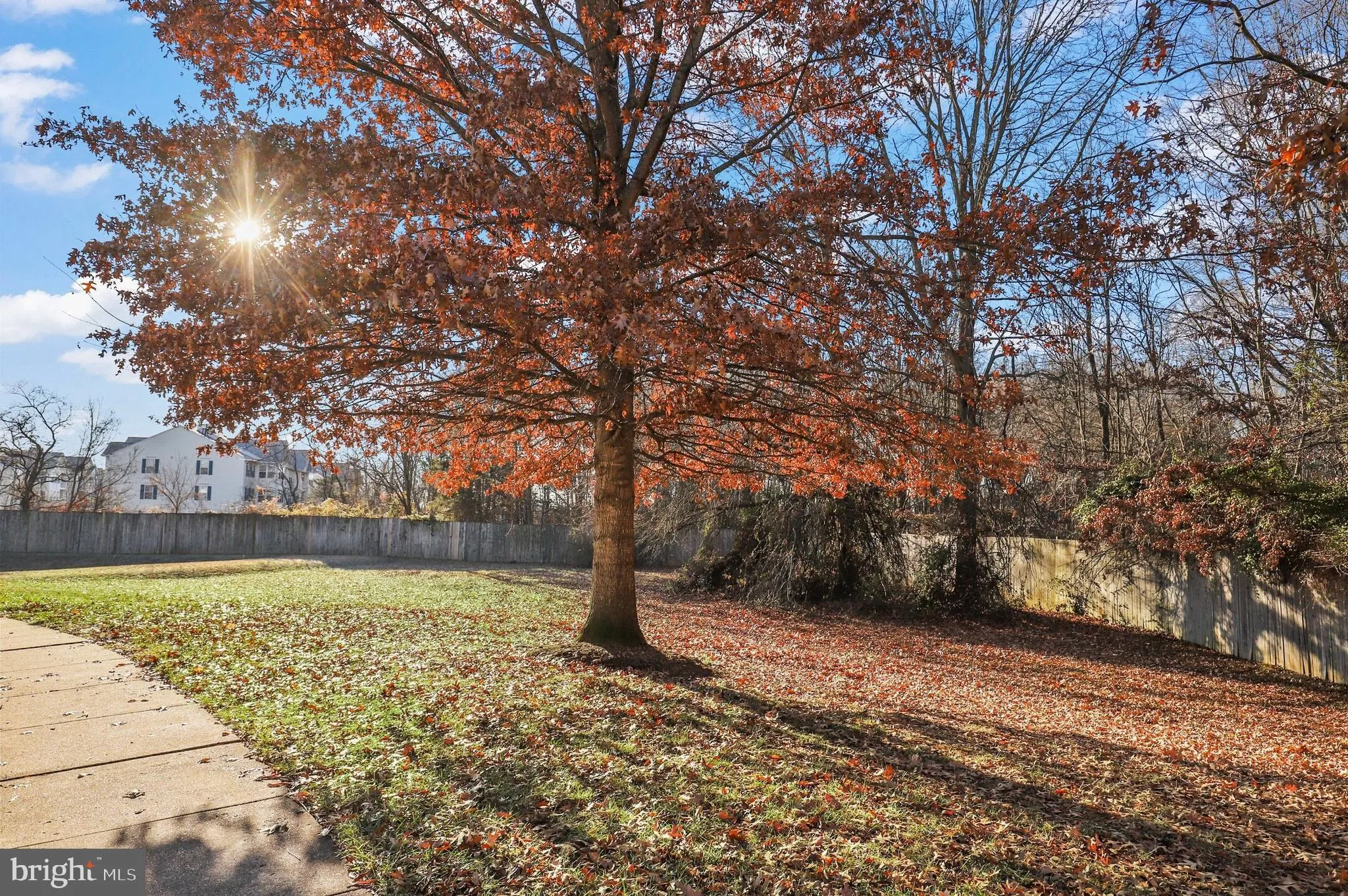 Additional image 57 of 7501 Calderon Court Unit 248, Alexandria, VA 22306