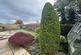 Additional image 12 of Holly Grove, Tarleton, Preston