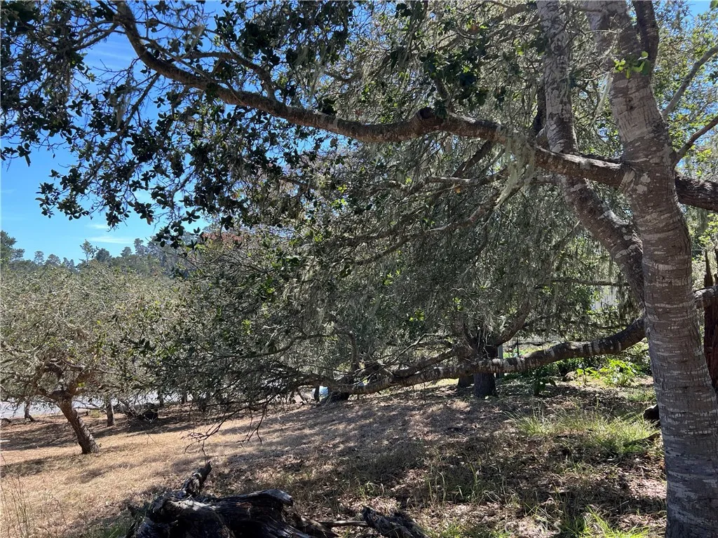 Additional image 3 of Pierce Avenue, Cambria, CA 93428