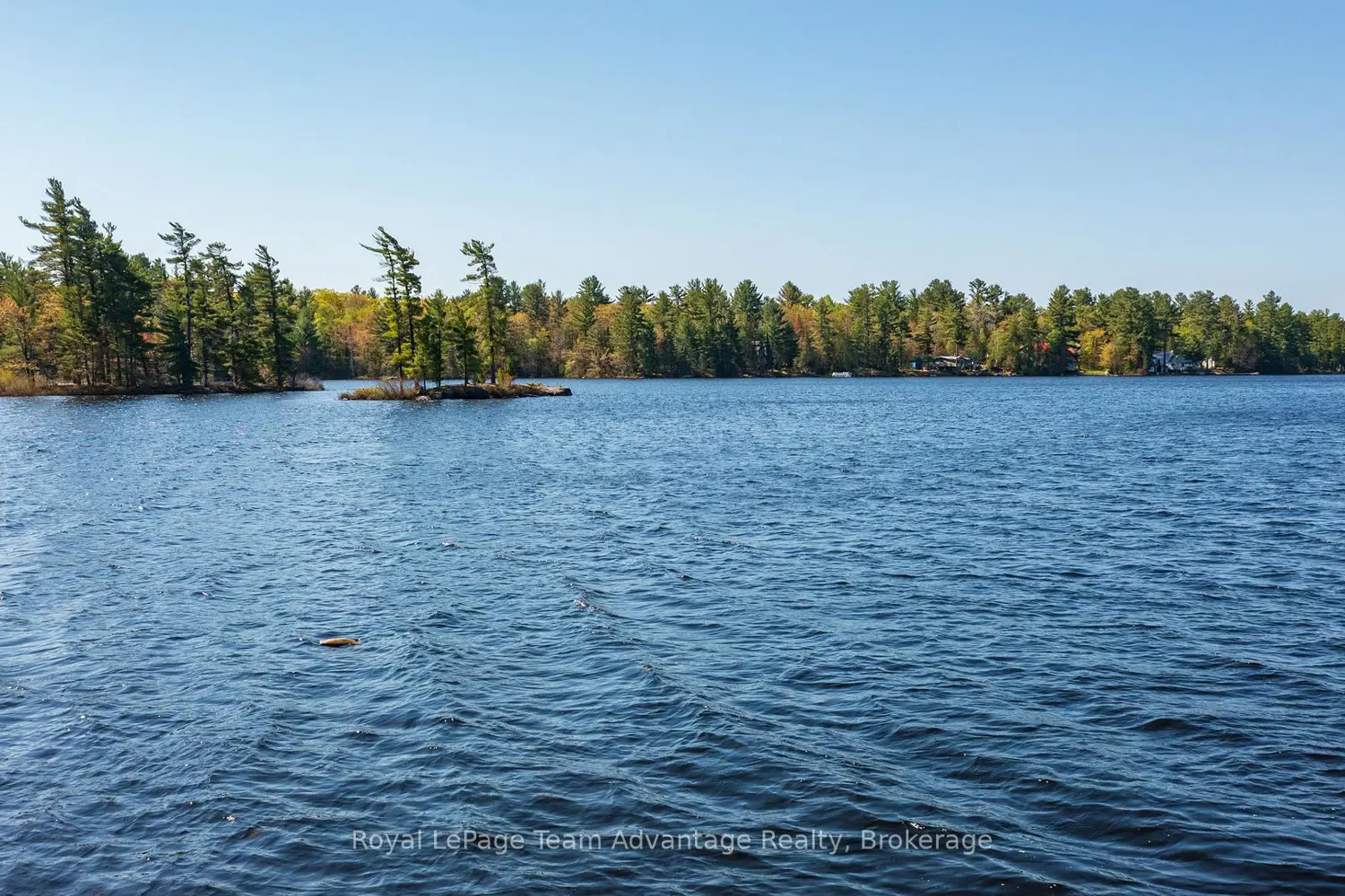 74 Harris Lake Water Road