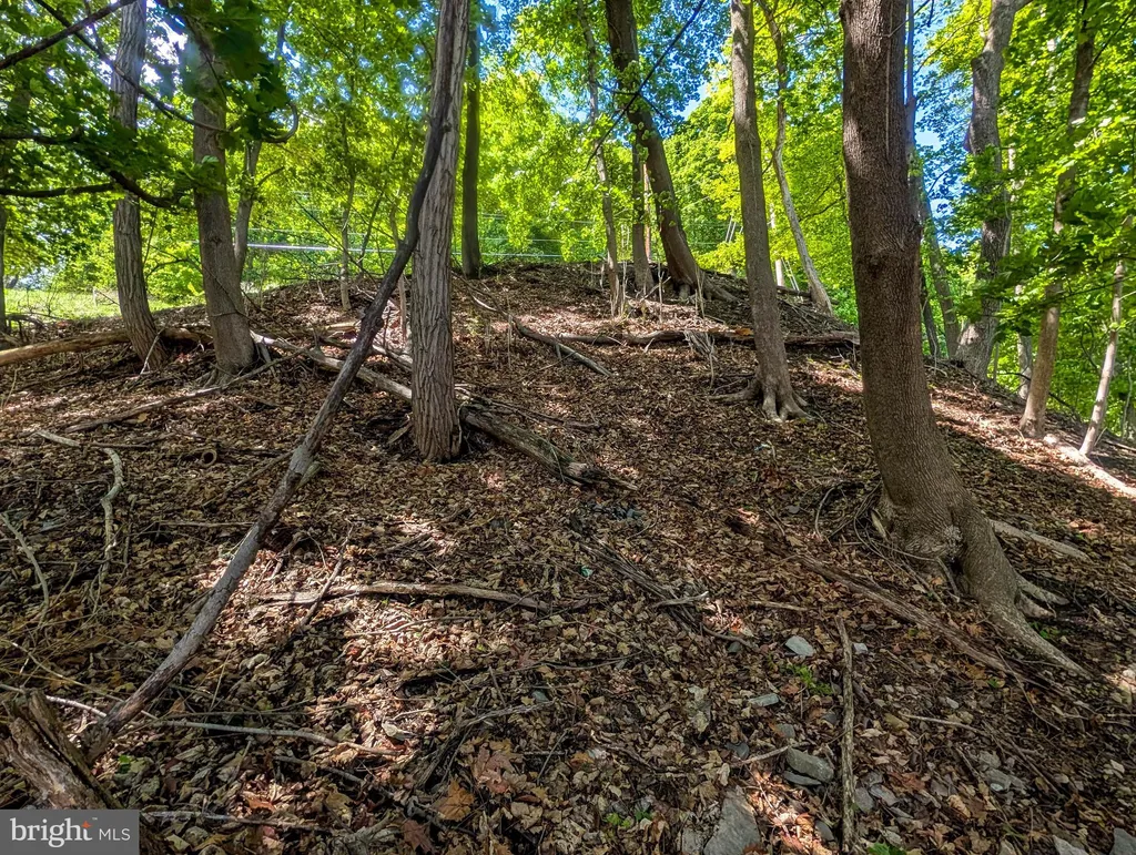 Additional image 46 of 460 Armstrong Street, Keyser, WV 26726