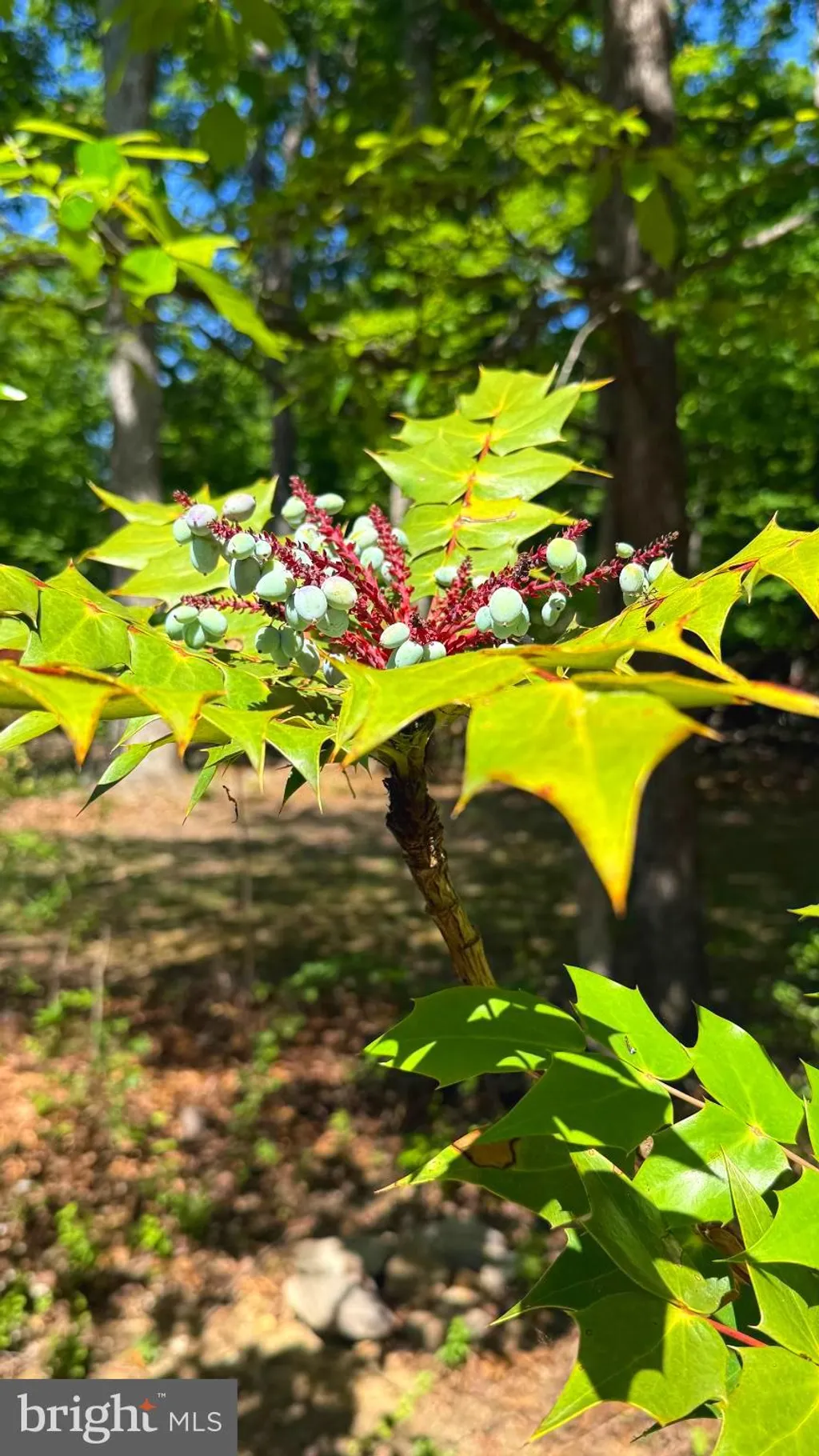 86 Robin Lane, Harpers Ferry, WV 25425